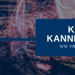 Keyword Kannibalisierung - Cannibalisation: Mehrere Seiten auf ein Keyword optimiert
