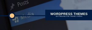 SEO Themes für WordPress