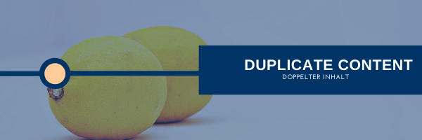Duplicate-Content (Doppelter Inhalt)