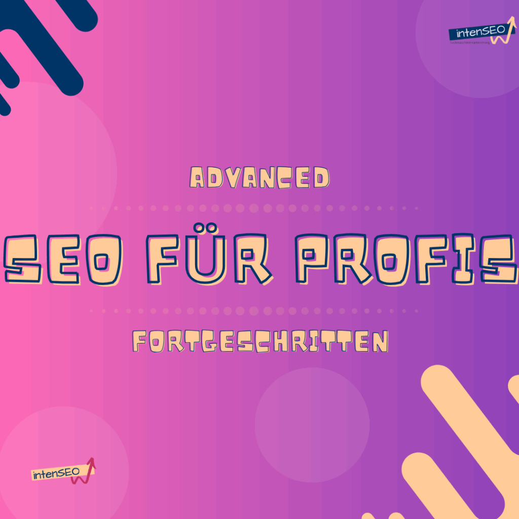 SEO für Profis